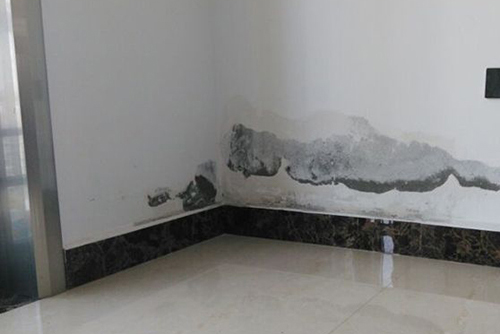 玉林市新型建筑防水公司價格